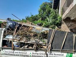 Reliable Arcadia, SC Junk Removal Services Solutions